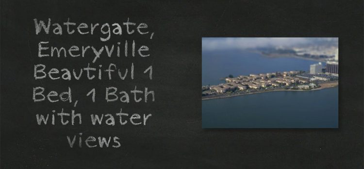 All East Bay Properties - Watergate 1 bedroom video flyer