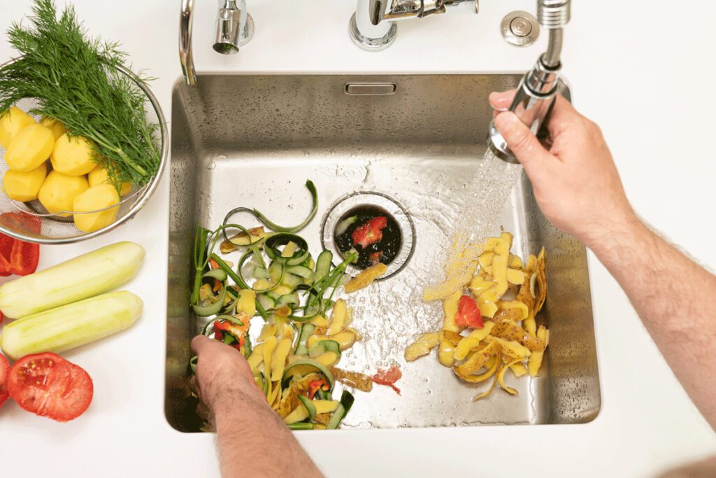 Image of food waste in a sink with garbage disposer