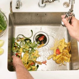 Image of food waste in a sink with garbage disposer