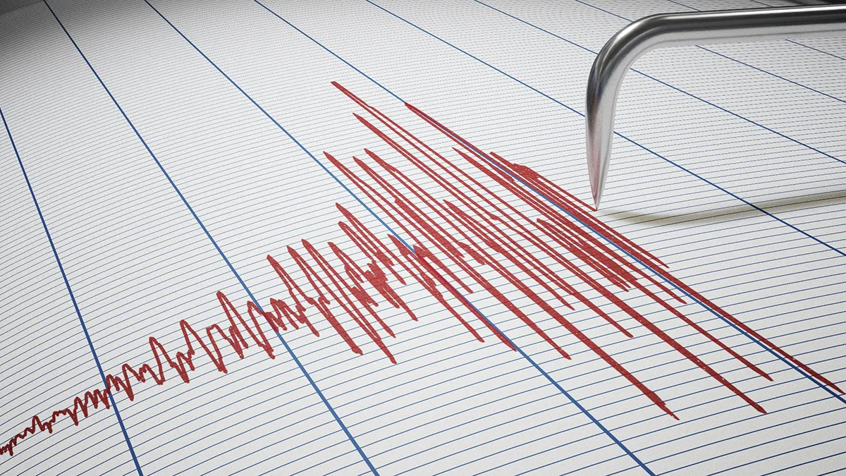 Image of Seismic graph highlighting earthquake preparedness for All East Bay Properties